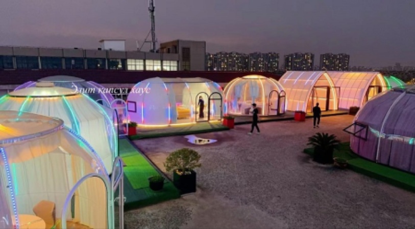 Cras vel neque nec mauris luctus convallis vel vitae ante