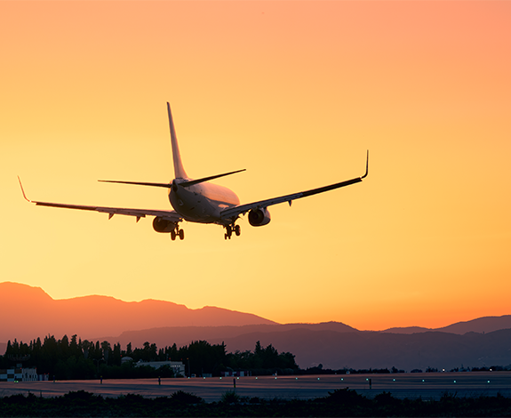 Vivamus a sapien vitae leo ult