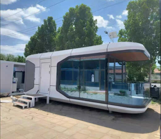 Proin ultrices sem at magna porttitor dignissim