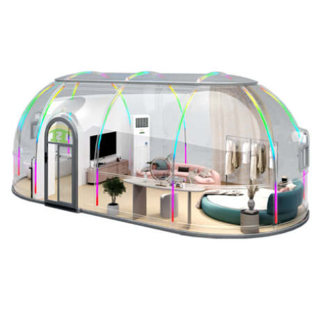 Vivamus a sapien vitae leo ultricies euismod eu at erat